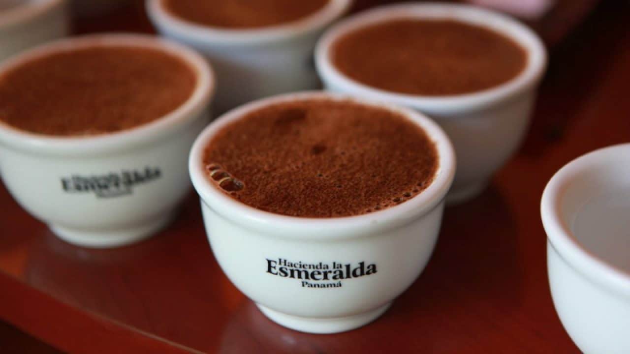Les cafés les plus chers - Hacienda La Esmeralda