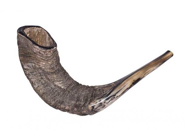 Une corne de bélier rituelle du shofar. (Zachi Evenor / CC BY 3.0)
