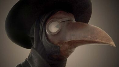Plague Doctor Mask, Steno Museum