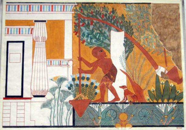 Peinture de tombeau montrant un jardinier égyptien antique utilisant un shaduf (Tombeau du sculpteur royal Ipuy, Deir el-Medina, 19e dynastie, 1279-1213 avant JC). Le shaduf repose sur les mêmes principes de contrepoids que les 