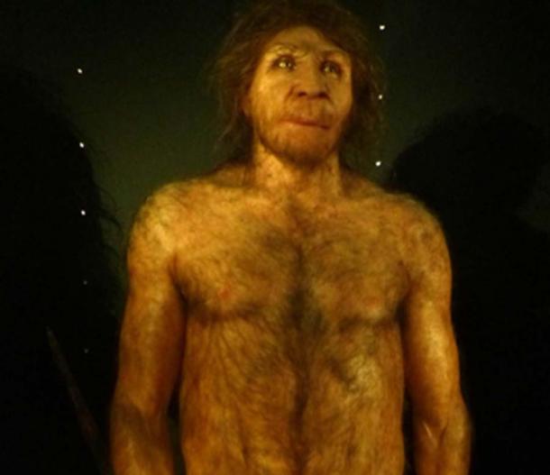 Reconstruction d'un homme adulte de l'âge de pierre H. heidelbergensis. (Dbachmann / CC BY-SA 4.0)