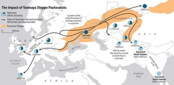 L'âge du bronze a étendu l'ascendance des pasteurs de la steppe de Yamnaya à deux sous-continents, l'Europe et l'Asie du Sud. (Science / Utilisation équitable)