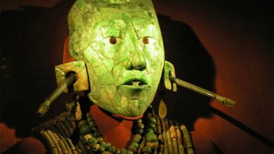 There seems to have been a concerted effort to keep scientific data conducted after the 1952 discovery of the remains of Pakal the Great under wraps. What are they hiding? Source: Jeffrey Holstein