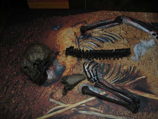 Les os de Windeby I temporairement exposés au Archäologisches Landesmuseum