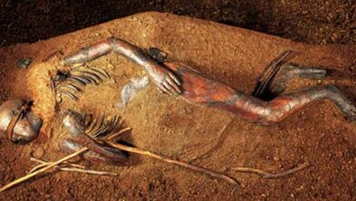 Star-Crossed Lovers? Criminals? Or Strangers? The Mystery of the Windeby Bog Bodies