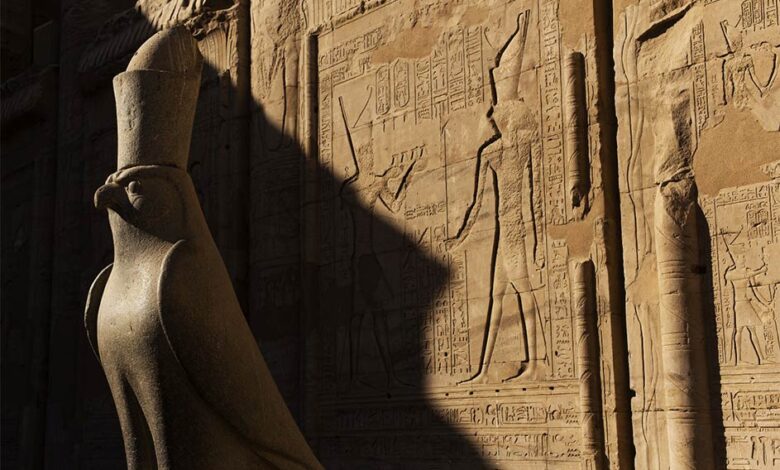 The god Horus represented by a falcon at the Temple of Edfu. Source: Edyta / Adobe Stock