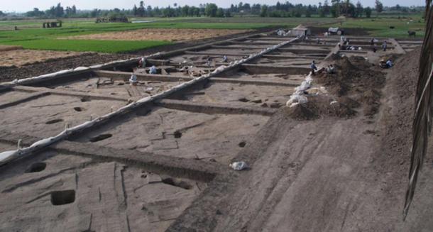 Vue du site archéologique de Tell el-Dab'a / Avaris. (M Bietak / ÖAI/OREA)