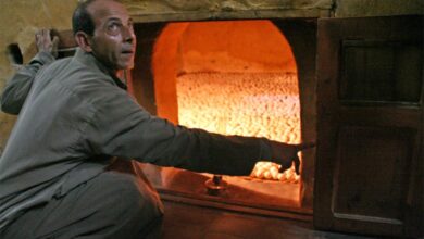 The Egyptian egg ovens are still in use by farmers still over 2,000 years later. Source: Lenny Hoferwerf / Courtesy of Food And Agriculture Organization of the United Nations (2006) / Reproduced with permission