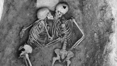 Hansanlu Lovers skeletons close up of torsos and skulls