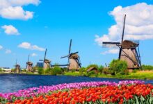 The Kinderdijk Windmills and surrounding waterways during spring, The Netherlands Source:  Nikolay N. Antonov / Adobe Stock