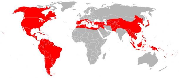 La zone métadique de Burton ne comprenait que de petites zones d'Europe et d'Afrique du Nord, de plus grandes zones d'Asie et toute l'Amérique du Nord et du Sud. (Maphobbyist / CC BY-SA 3.0)