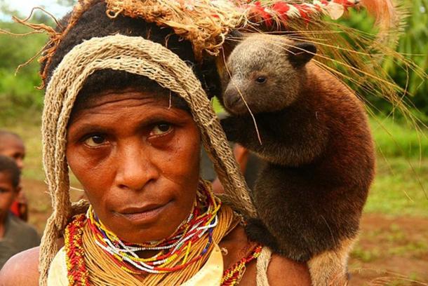 Une étude de l'ADN des Papous de Nouvelle-Guinée a permis de découvrir que les Denisoviens et les humains modernes s'accouplaient. (Flickr upload bot / CC BY-SA 2.0)