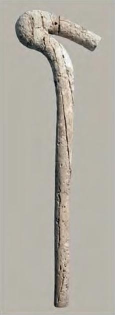 Sceptre en ivoire provenant du tombeau d'Abydos de Scorpion Ier (