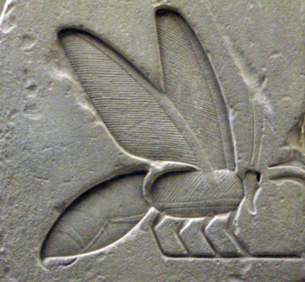 Détail d'un hiéroglyphe d'abeille provenant du complexe funéraire de Senusret I 