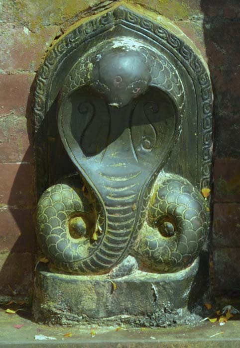 Les serpents sont parfois représentés comme de puissants gardiens des temples et autres espaces sacrés.