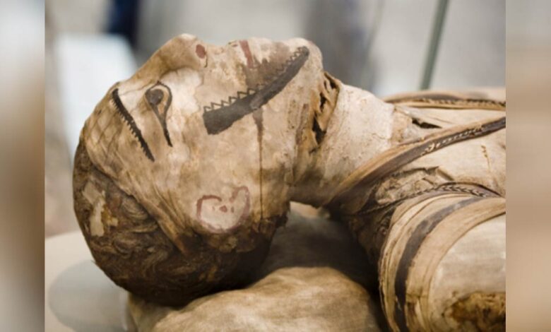 Egyptian mummy. Credit: markrhhiggins / Adobe Stock