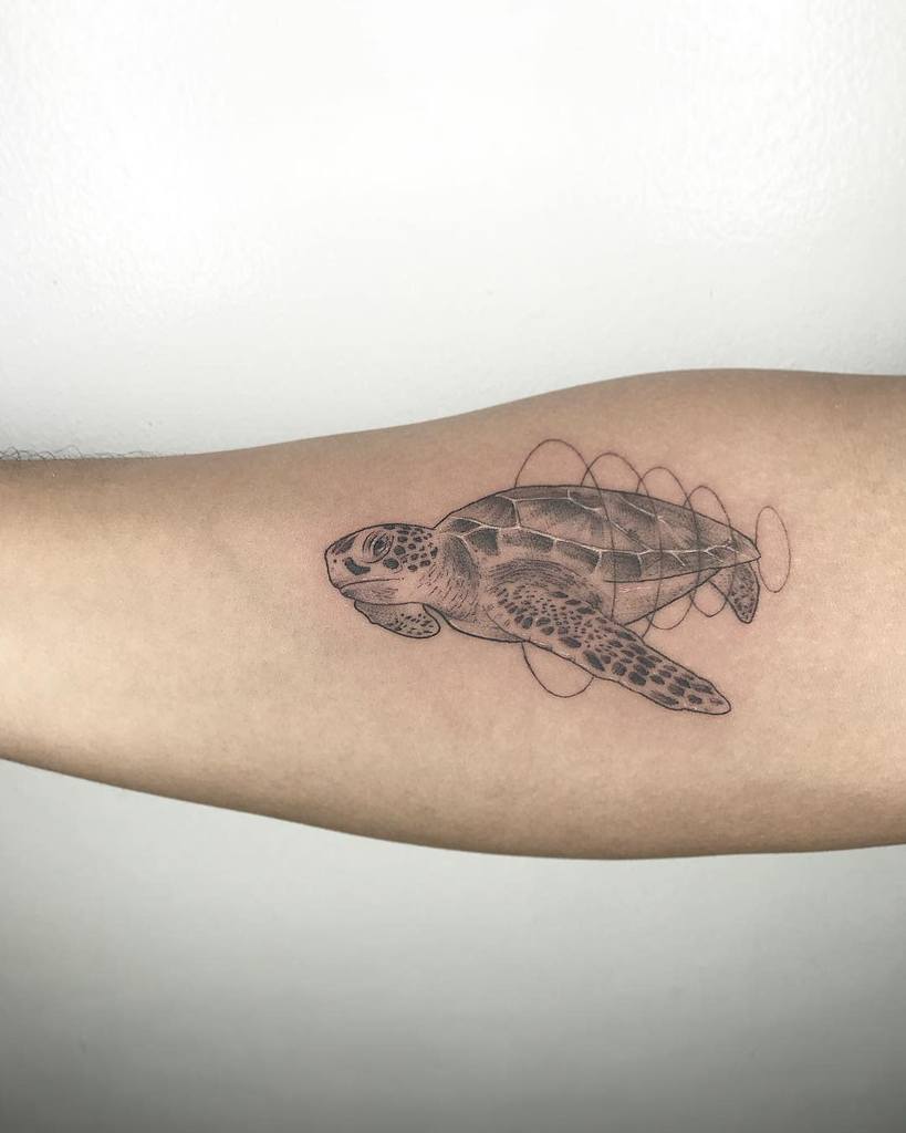 Tatouages d'avant-bras de petites tortues atansancheztattoo