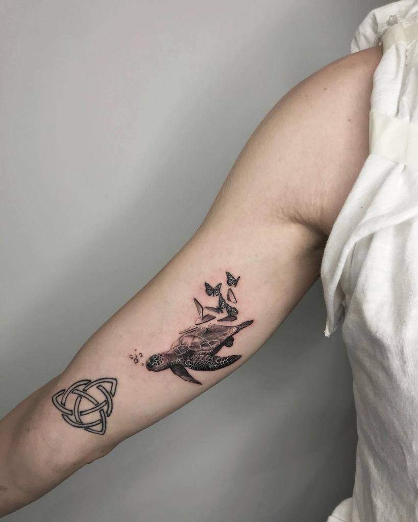 Tatouages de petites tortues sur les bras t.moretti.tattoo