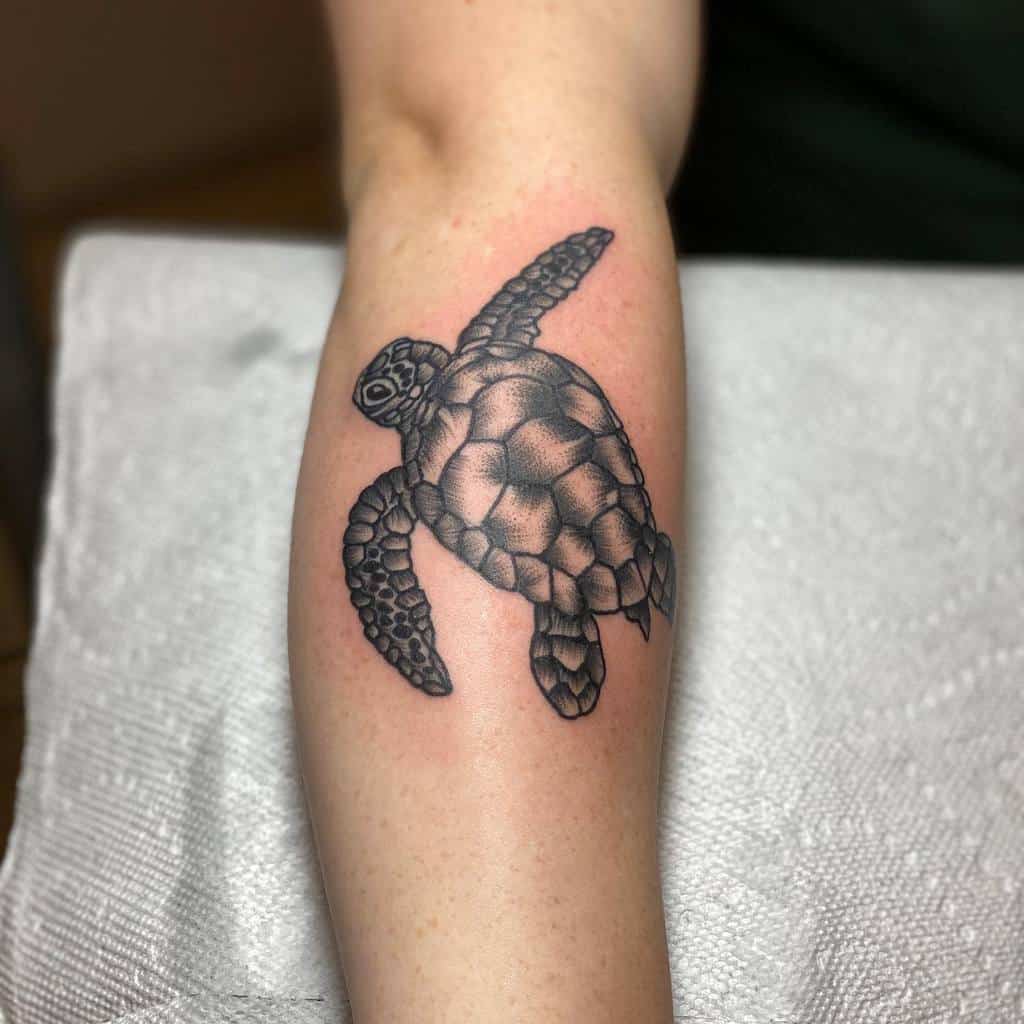 Tatouages d'avant-bras de petites tortues alec_tattoos