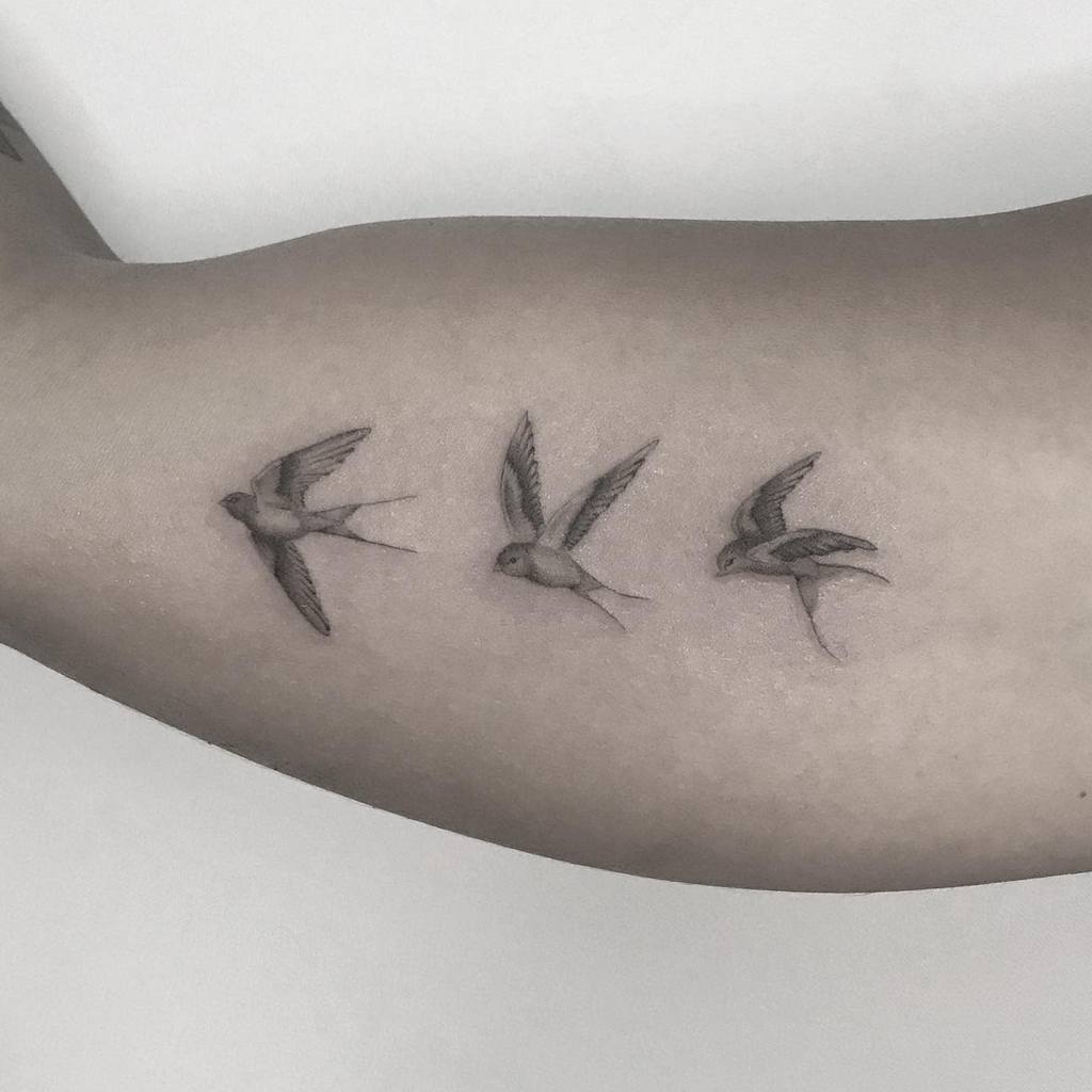 Tatouages de petits oiseaux à bras supérieurs Erikdamasco