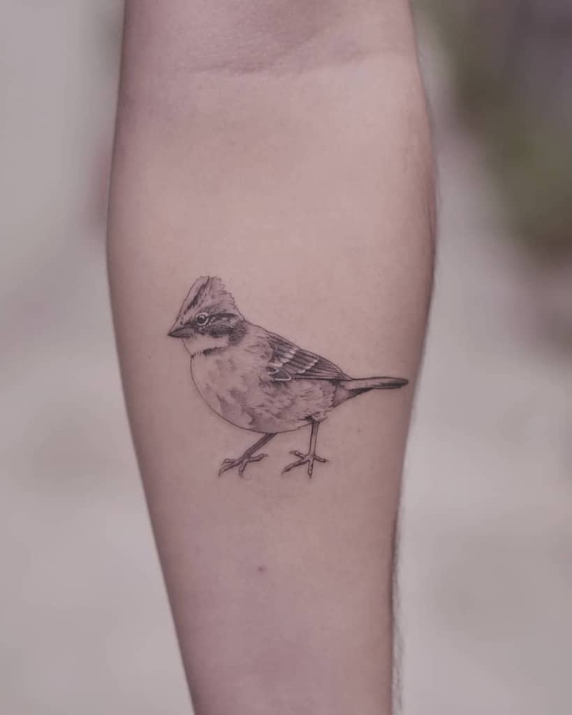 Tatouages d'avant-bras de petits oiseaux Dinna.tattooer
