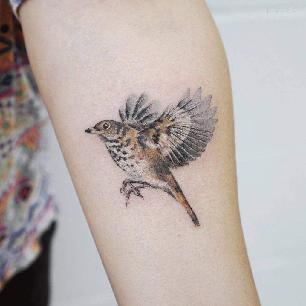 Tatouages d'avant-bras de petits oiseaux Picsola
