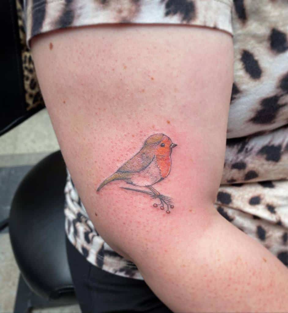 Tatouages de petits oiseaux sur les bras : Maaikes Skinart