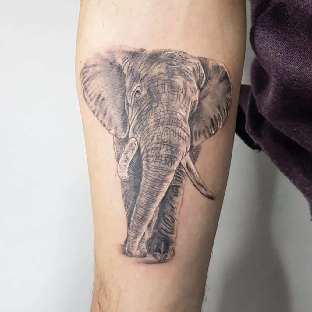 Tatouage d'avant-bras de petit éléphant Y M Tatouage