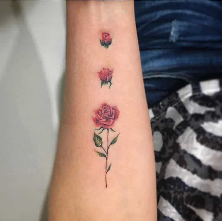Tatouages de petites roses Tattooistbrisa