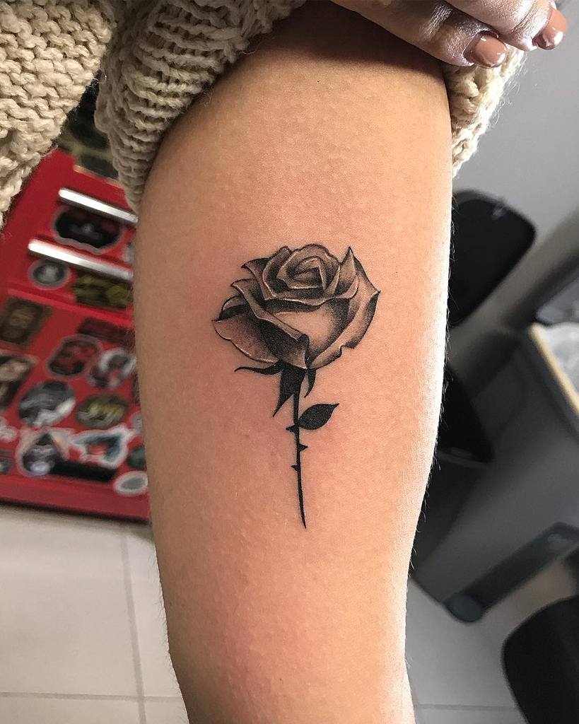 Tatouages de petites roses Tatouages de petites roses noires Tatouages de petites roses Tiagomonteiro Tatoueur