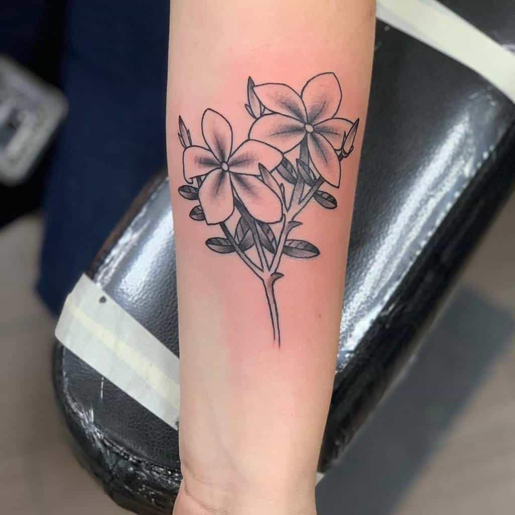 Tatouages d'avant-bras en fleur de jasmin Jawbreakertattoo