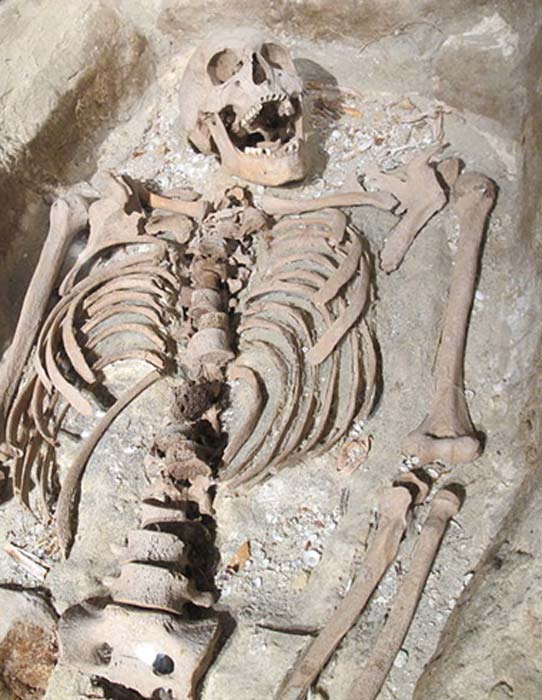 Exemple d'une tombe et d'un squelette dans un musée maritime. (Marlene Oostryck/CC BY 3.0)