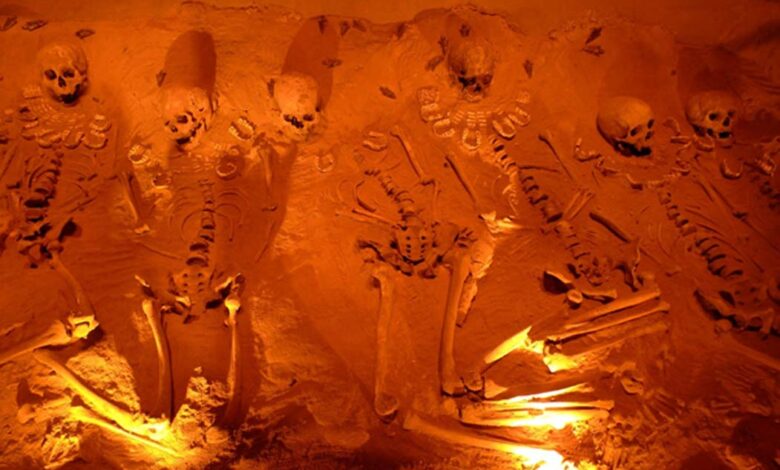 Representational image of human skeletons. The discovery of anomalous skeletons suggests humanity may be older than we think.
