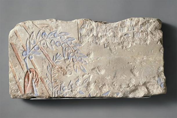Une autre belle sculpture de la main du roi tenant un rameau d'olivier sous les rayons de l'Aton, provenant d'un bloc d'Amarna talatat. Elle montre avec beaucoup de détails les ongles du roi, la rondeur des olives, et même comment les rayons de l'Aton traversent les feuilles individuelles, d'abord en dessous, puis au-dessus, montrant un grand degré de sophistication. (Met Museum / Domaine public)