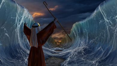 The origins of the Jewish festival Shavuot’s traditions are obscure. But what if they could be linked to Pharaoh Akhenaten, offering a new view on Moses? Pictures: Representation of Moses’ famous crossing of the sea. 	Source: Vlastimil Šesták / Adobe stock