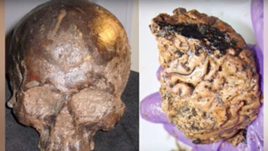 The Heslington skull and brain. Source: Top 5 Scary Videos / YouTube.