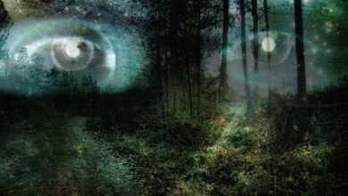 The Origins of the Faeries: Changes in Conscious Perception – Part II
