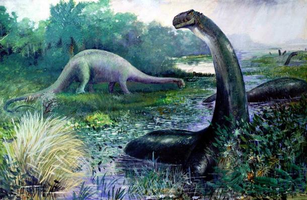 Illustration du Brontosaure dans l'eau, et Diplodocus sur la terre.