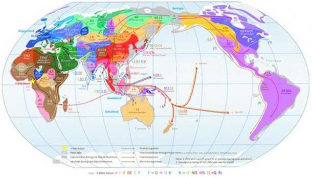 Carte mondiale des haplogroupes du chromosome Y - Haplogroupes dominants dans les populations précoloniales avec des itinéraires de migration possibles. ( CC PAR SA 3.0 )