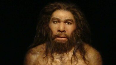 A Neanderthal.