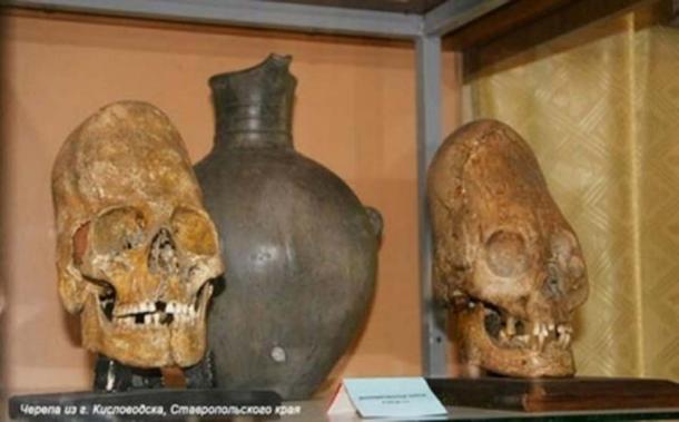 En haut : enfant de Yakovenkovo (archéologie et arts). En bas : Crânes de Kislovodsk. (soul-guidance.com)