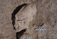 The cemetery is about 1,000 years old and the skulls were studied in more detail in 2012. (Cristina García / INAH)
