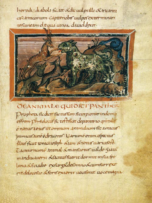 Une panthère, du Physiologus de Berne, vers le IXe siècle.