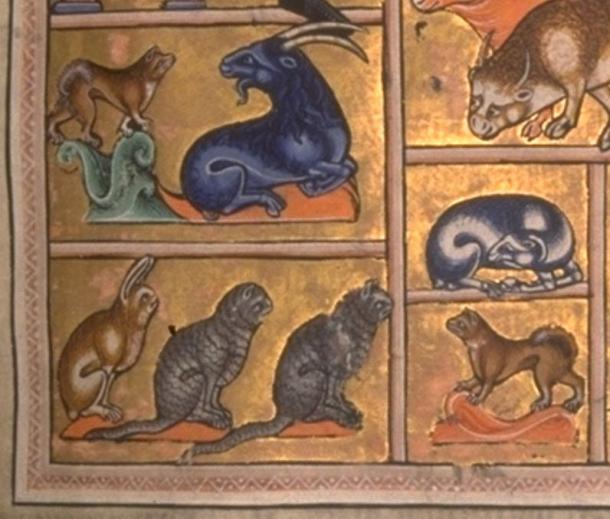 Chèvres, chats, lapins, vaches : des animaux magnifiquement représentés dans le Bestiaire d'Aberdeen du 12e siècle.