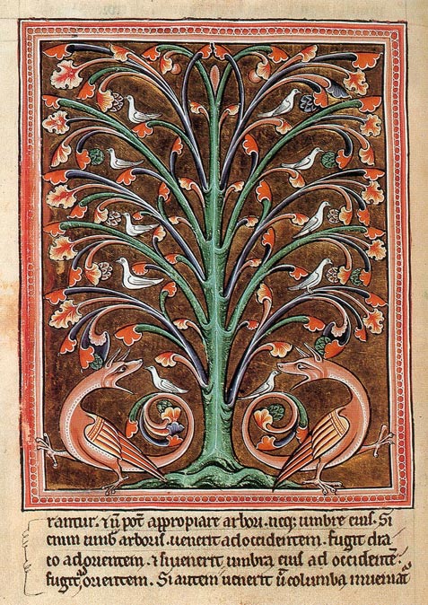Les colombes se cachent dans l'arbre du Péridexion pour éviter les dangereux dragons. Bestiaire d'Oxford, vers 1220.