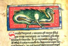 Strange beasts, mythological and real, graced the pages of ancient bestiaries.