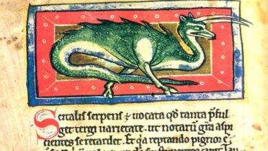 Strange beasts, mythological and real, graced the pages of ancient bestiaries.