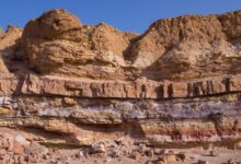 5 Diagrammes des roches sédimentaires