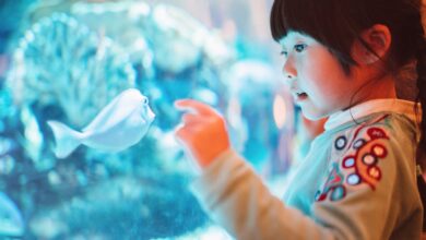 Acheter un aquarium pour un enfant ou un adolescent