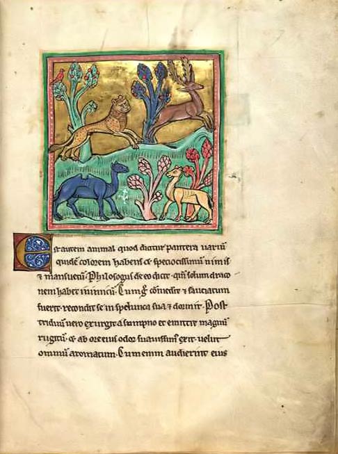 Le Léopard, du bestiaire du XIIIe siècle connu sous le nom de 